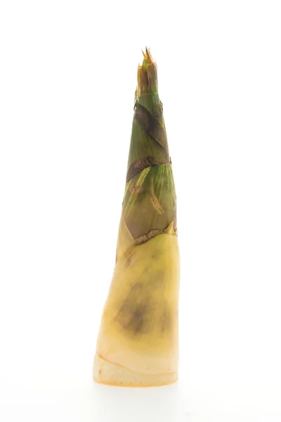 Bamboo shoot on white — Stock Photo, Image