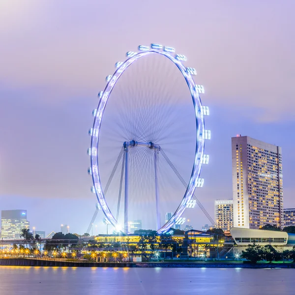 Ünlü Singapore flyer — Stok fotoğraf