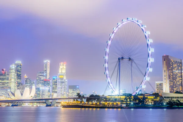 Ünlü Singapore flyer — Stok fotoğraf