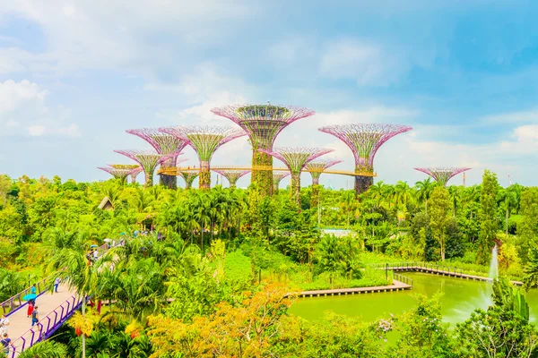 Garden by bay at Singapore — Stock Photo, Image