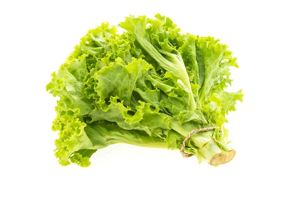 Lechuga verde vegetal — Foto de Stock