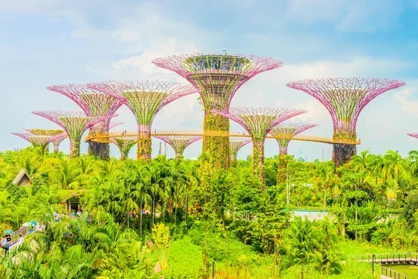 Zahrada v bay v Singapuru — Stock fotografie