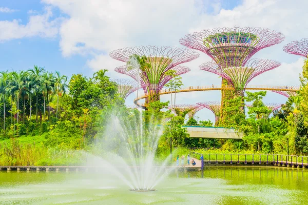 Zahrada v bay v Singapuru — Stock fotografie