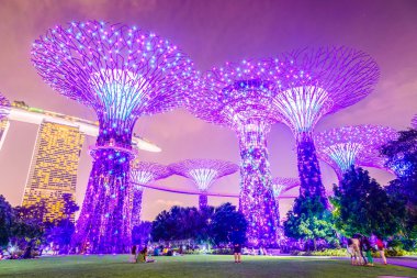 Garden grove supertree