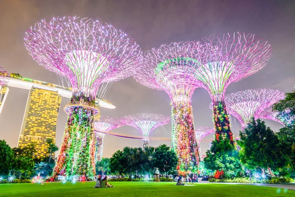 Supertree grove at garden — Stock Photo, Image