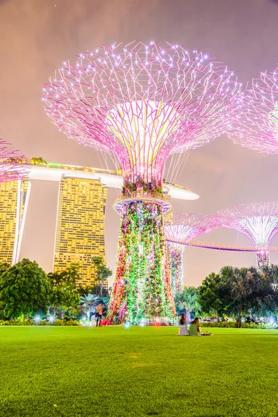 Supertree grove at garden — Stock Photo, Image