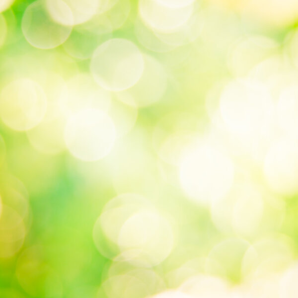 green bokeh backdrop