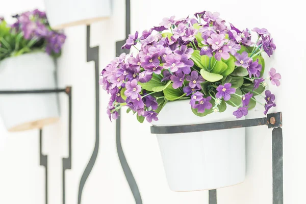 Vasos de flores na parede branca — Fotografia de Stock