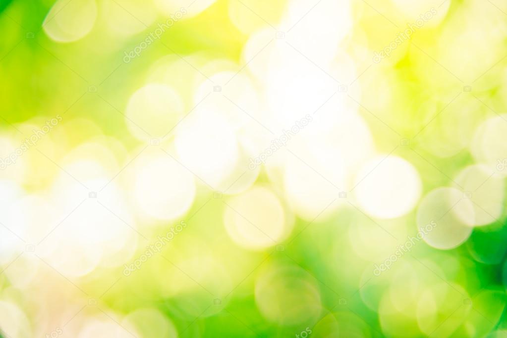 green bokeh backdrop