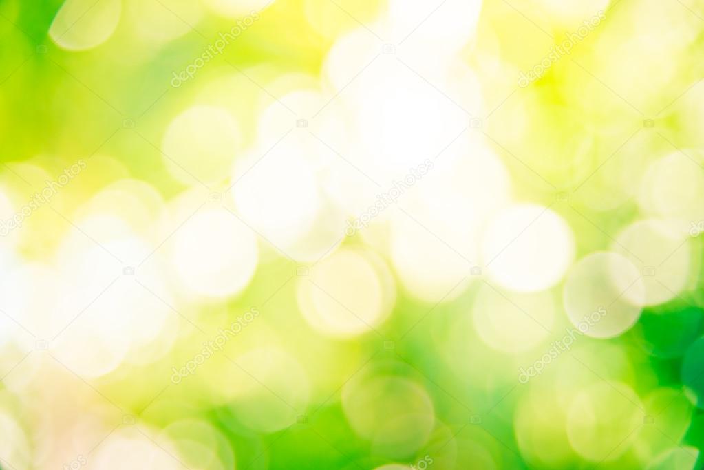 green bokeh backdrop