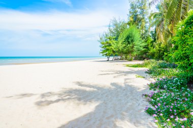 Güzel deniz ve sahil