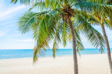 Güzel deniz ve sahil