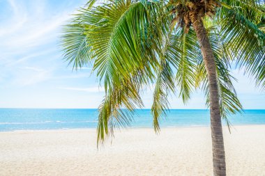 Güzel deniz ve sahil