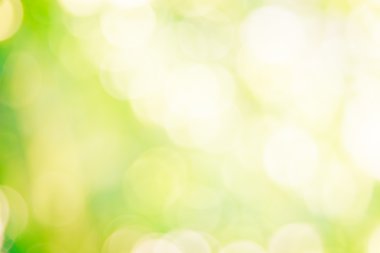 Yeşil bokeh arka plan