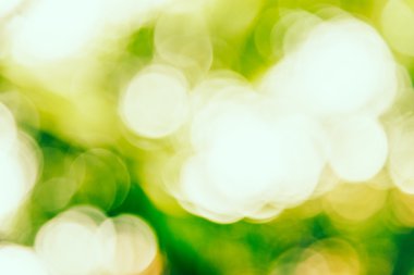 Yeşil bokeh arka plan