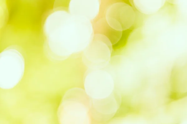 Зеленый фон Боке — стоковое фото