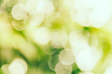 Yeşil bokeh arka plan