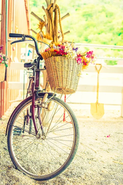 Cykel med blommor i korg — Stockfoto