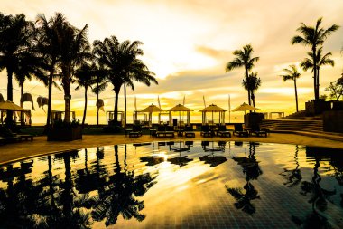 palm trees on hotel pool