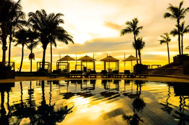 palm trees on hotel pool