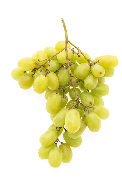 Rama de uvas frescas — Foto de Stock