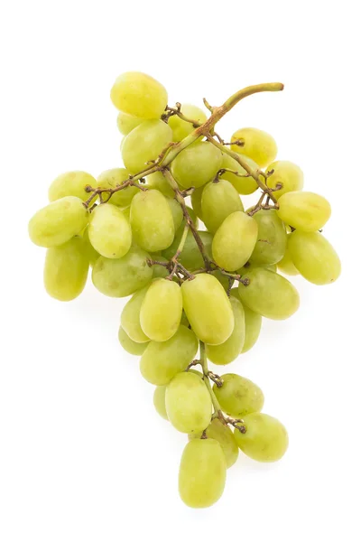 Rama de uvas frescas — Foto de Stock