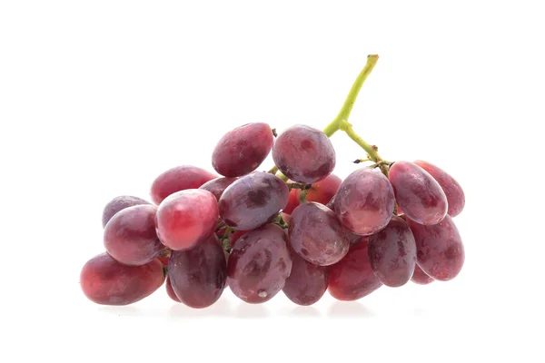 Fresh Grapes branch — Stock Photo, Image