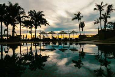 palm trees with umbrellas in hotel