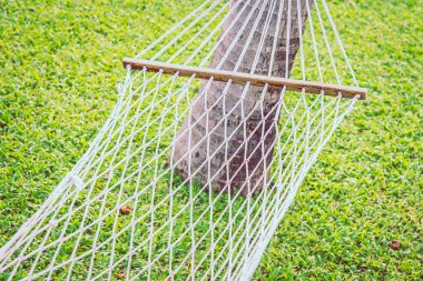 hammock with green grass