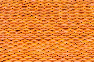 Tapınağın mimarisi çatı