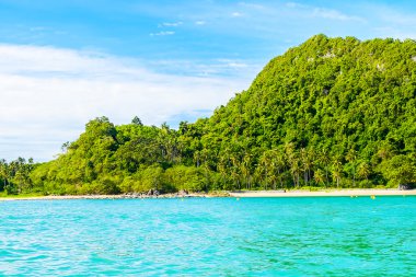 tropikal Adası ve deniz
