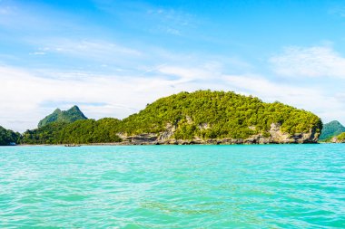 tropikal Adası ve deniz