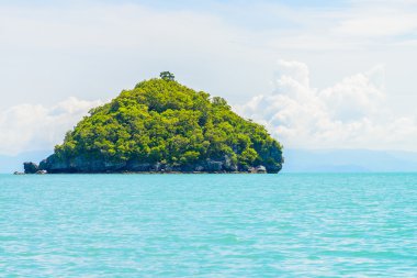 tropikal Adası ve deniz