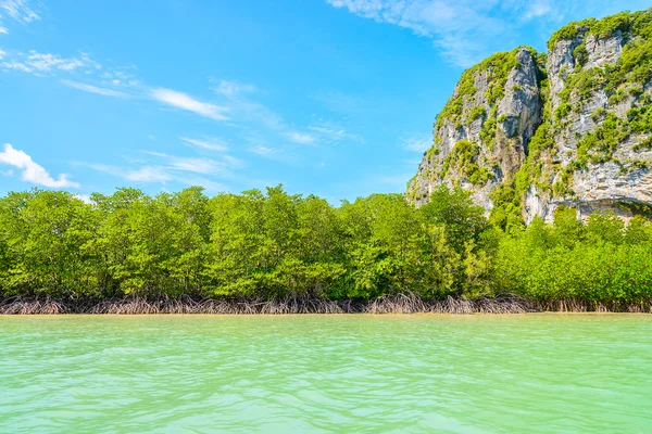 Tropical island and sea — Stock Photo, Image