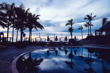 palmiye ağaçları ile şemsiyeleri ve sandalyeler