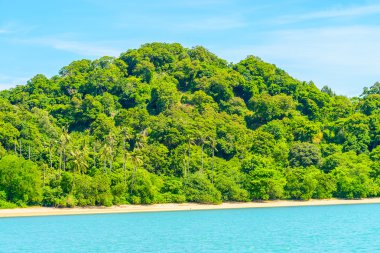 tropikal Adası ve deniz
