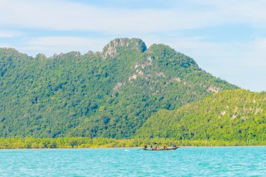 tropikal Adası ve deniz