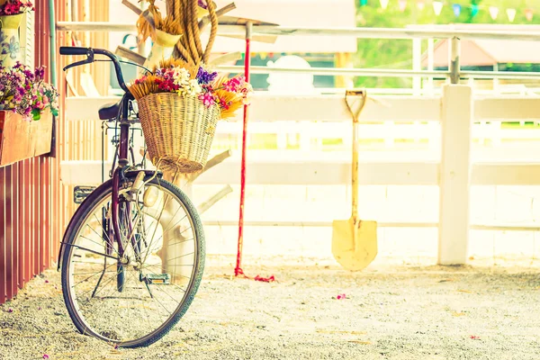 Cykel med blommor på korg — Stockfoto