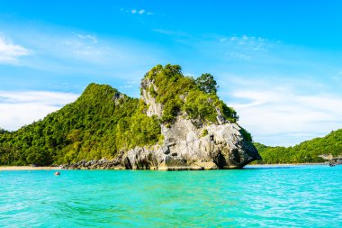 tropikal Adası ve deniz