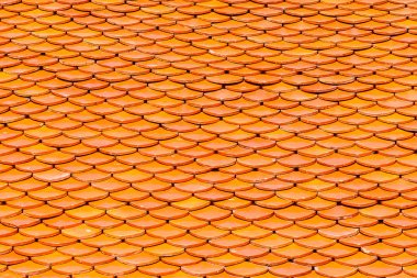 Tapınağın mimarisi çatı