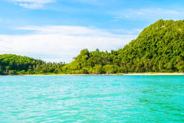 tropikal Adası ve deniz