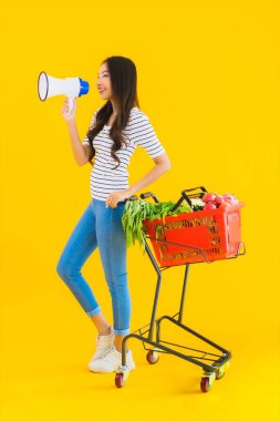 Market sepeti ve sarı izole arka planda megafonu olan güzel Asyalı kadın portresi