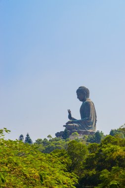 hong Kong dev Buda