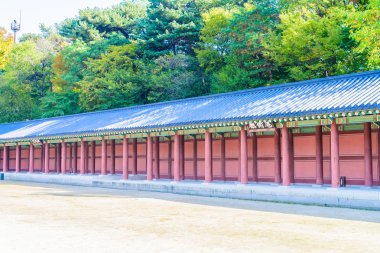 Alace Saray mimarisinde