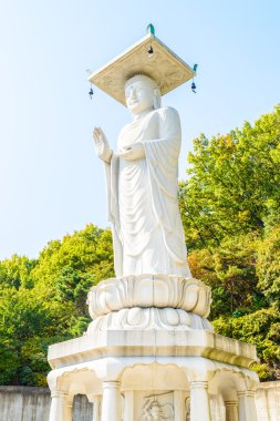 Bongeunsa Tapınağı Seoul City