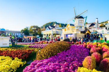 Everland Resort in Yongin City