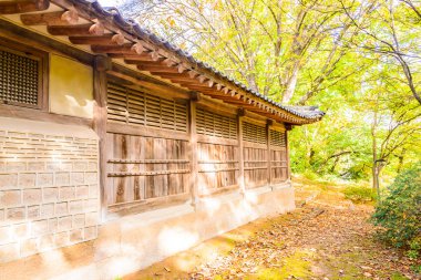 Alace Saray mimarisinde