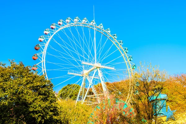 Pariserhjul i park — Stockfoto