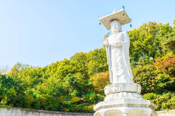 Templo de Bongeunsa na cidade de Seul — Fotografia de Stock