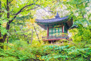 Alace Saray mimarisinde